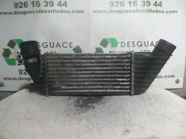 Citroen Jumpy Radiatore intercooler 5525789