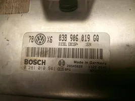 Volkswagen PASSAT Centralina/modulo del motore 038906019GQ
