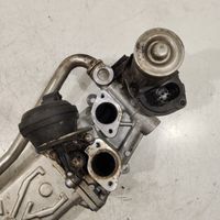 Volkswagen Polo V 6R EGR vārsts 013017354V400