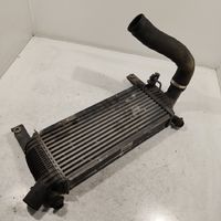 Nissan Pathfinder R51 Chłodnica powietrza doładowującego / Intercooler 14461EB360