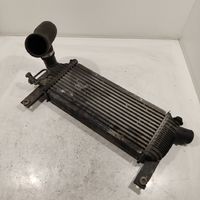 Nissan Pathfinder R51 Starpdzesētāja radiators 14461EB360