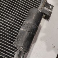 Nissan Pathfinder R51 A/C cooling radiator (condenser) 92100EB410