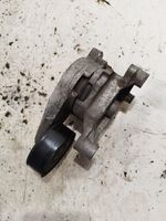 Audi A3 S3 A3 Sportback 8P Tendicinghia generatore/alternatore 03G903315