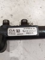 Peugeot 5008 Tuyau de conduite principale de carburant 9684753080