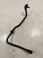 Audi A3 S3 8P Vacuum line/pipe/hose 