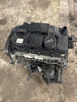 Mitsubishi Grandis Moteur BWC