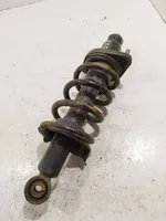 Honda CR-V Rear shock absorber with coil spring 