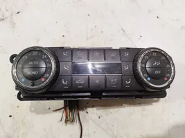 Mercedes-Benz ML W164 Centralina del climatizzatore A2518209989