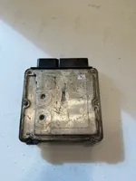 Volkswagen PASSAT B6 Sterownik / Moduł ECU 03L907309