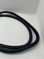 Volkswagen PASSAT B7 Front door rubber seal 