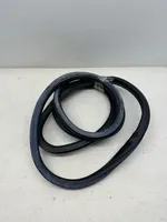 Audi A6 S6 C6 4F Front door rubber seal 