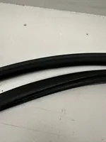 Audi A6 S6 C6 4F Front door rubber seal 