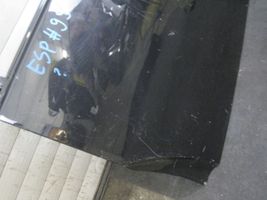 Volkswagen New Beetle Rear door 