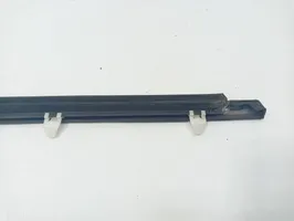 Honda Legend Front door trim (molding) 