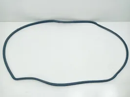 Honda Legend Front door rubber seal 