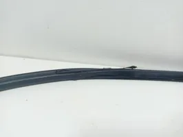 Honda Legend Front door rubber seal 