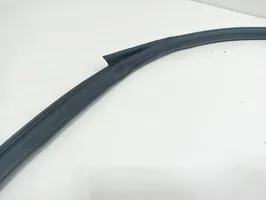 Honda Legend Front door rubber seal 