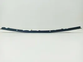 Honda Legend Front door trim (molding) 1137567891