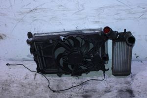 Ford C-MAX II Coolant radiator 