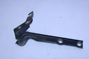 Volkswagen Tiguan Engine bonnet/hood hinges 5N0823302A