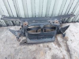 BMW 3 E46 Radiatoru panelis (televizors) 51717894822