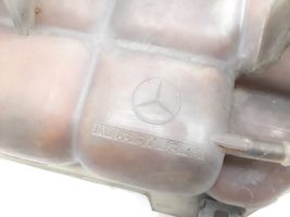 Mercedes-Benz ML W163 Serbatoio di compensazione del liquido refrigerante/vaschetta A1635000349