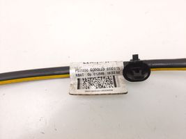 Nissan Qashqai Câble négatif masse batterie 240804EB0B