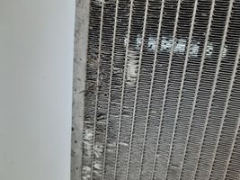 Infiniti FX Dzesēšanas šķidruma radiators 