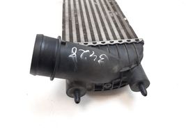 Fiat Scudo Chłodnica powietrza doładowującego / Intercooler E5542007