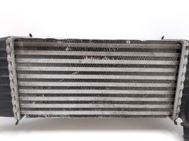 Fiat Scudo Chłodnica powietrza doładowującego / Intercooler E5542007