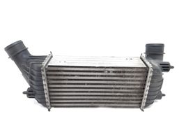 Fiat Scudo Chłodnica powietrza doładowującego / Intercooler E5542007