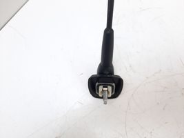 Renault Trafic III (X82) Radion antenni 