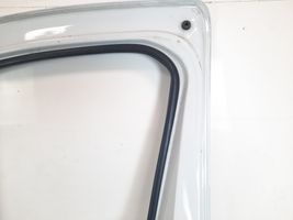 Renault Trafic III (X82) Front door 801525548R