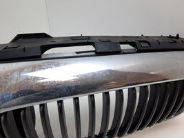 Jaguar X-Type Front bumper upper radiator grill 1X435510AE