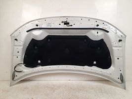 Ford Edge II Engine bonnet/hood 