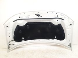 Ford Edge II Engine bonnet/hood 