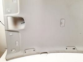 Toyota Prius+ (ZVW40) Rivestimento del tetto 