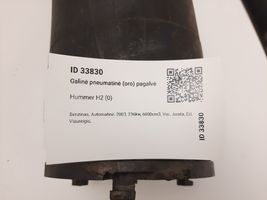 Hummer H2 Rear air suspension bag/shock absorber AK00053287