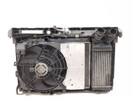 Peugeot 207 Set del radiatore 9651184880