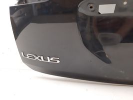 Lexus RX 300 Tylna klapa bagażnika 