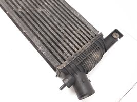 Nissan Navara D40 Radiatore intercooler 14461EB360