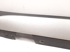 BMW X1 E84 Sill 2990599