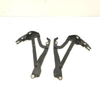 Chevrolet Epica Tailgate/trunk/boot hinge 06D12