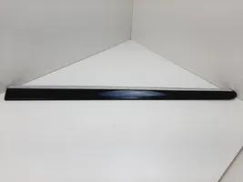 Mercedes-Benz Vito Viano W639 Front door trim (molding) A6396900562KZ