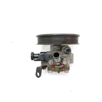 Hyundai Santa Fe Power steering pump 