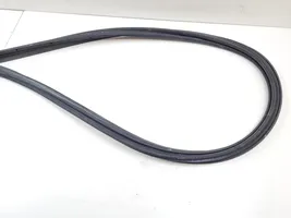 Toyota Prius (XW50) Trunk rubber seal (body) 