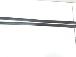 Toyota Prius (XW50) Roof trim bar molding cover 