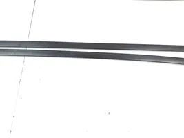 Toyota Prius (XW50) Roof trim bar molding cover 