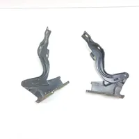 Hyundai Santa Fe Engine bonnet/hood hinges 