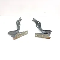 Hyundai Santa Fe Engine bonnet/hood hinges 